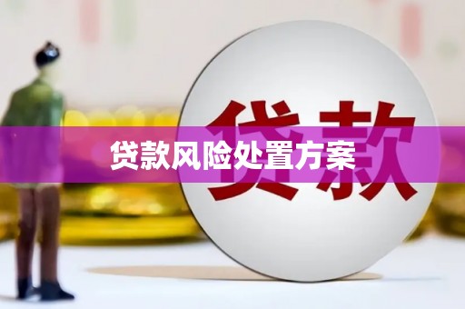 修文贷款风险处置方案