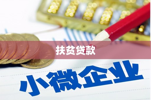 修文扶贫贷款
