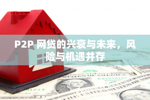 修文P2P 网贷的兴衰与未来，风险与机遇并存