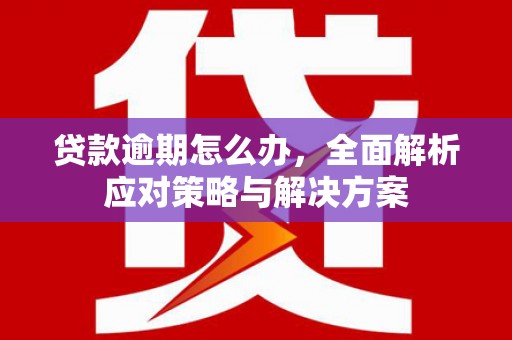 修文贷款逾期怎么办，全面解析应对策略与解决方案