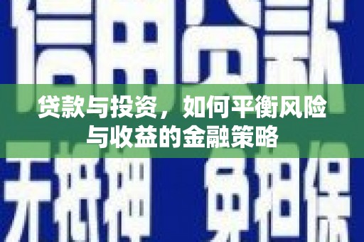 修文贷款与投资，如何平衡风险与收益的金融策略