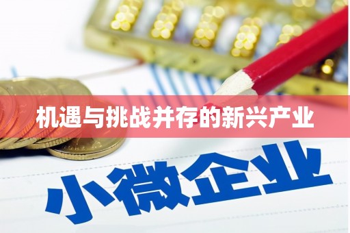 修文机遇与挑战并存的新兴产业