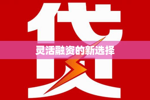 修文灵活融资的新选择