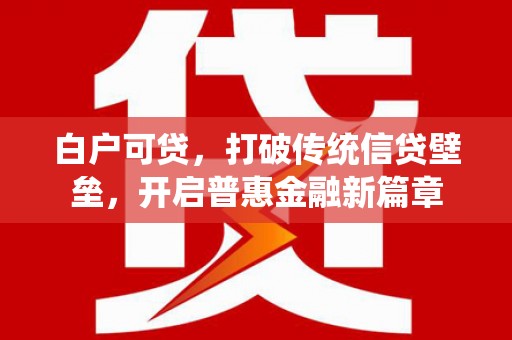 修文白户可贷，打破传统信贷壁垒，开启普惠金融新篇章