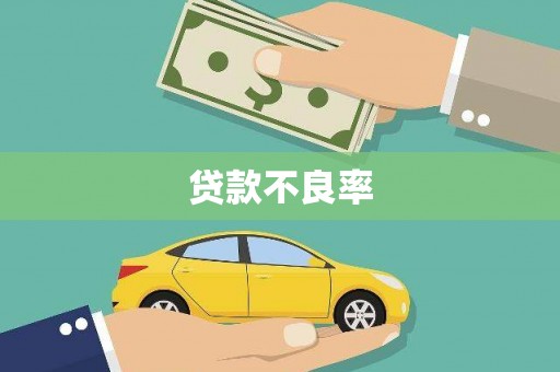 修文贷款不良率