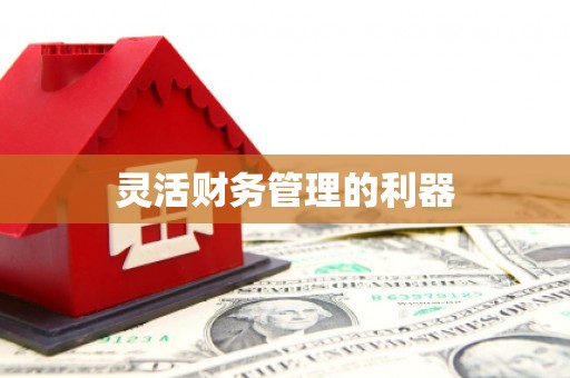 修文灵活财务管理的利器