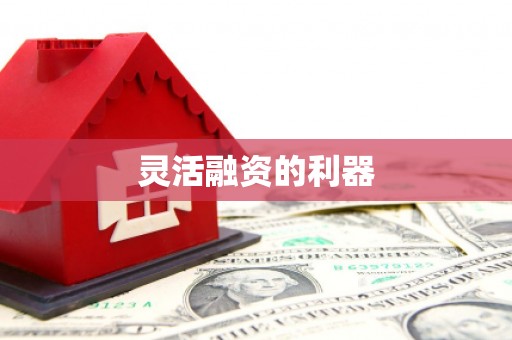 修文灵活融资的利器