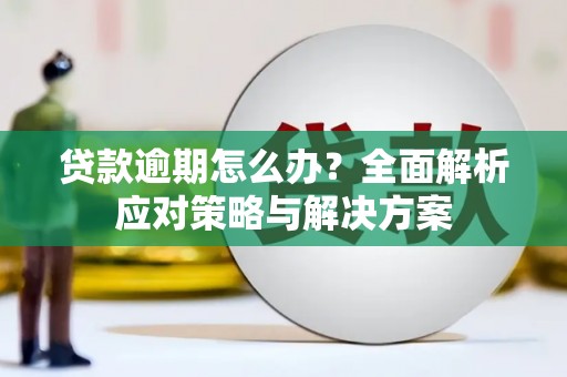 修文贷款逾期怎么办？全面解析应对策略与解决方案