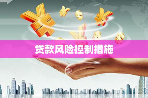 修文贷款风险控制措施