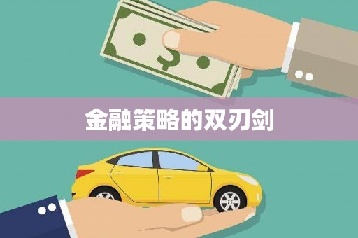 修文金融策略的双刃剑