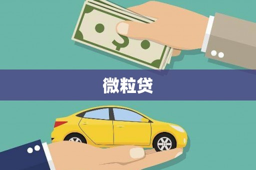 修文微粒贷