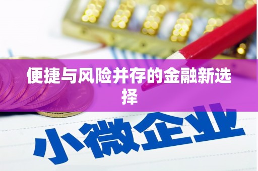 修文便捷与风险并存的金融新选择