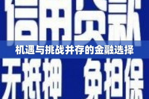 修文机遇与挑战并存的金融选择