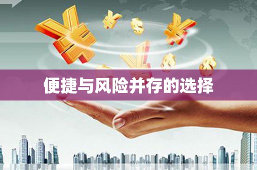 修文便捷与风险并存的选择