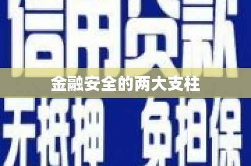 修文金融安全的两大支柱