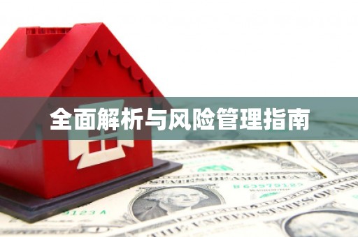 修文全面解析与风险管理指南