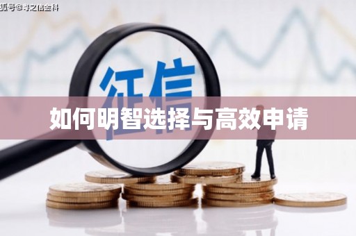 修文如何明智选择与高效申请
