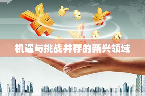 修文机遇与挑战并存的新兴领域