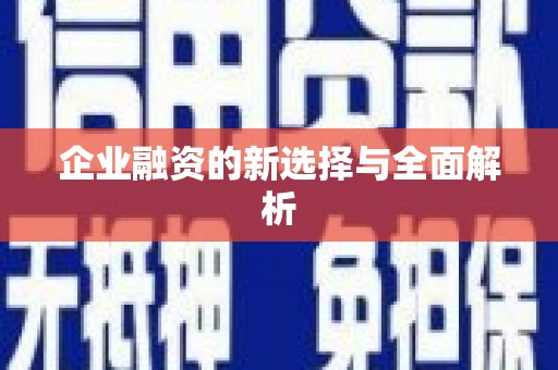 修文企业融资的新选择与全面解析