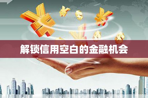 修文解锁信用空白的金融机会