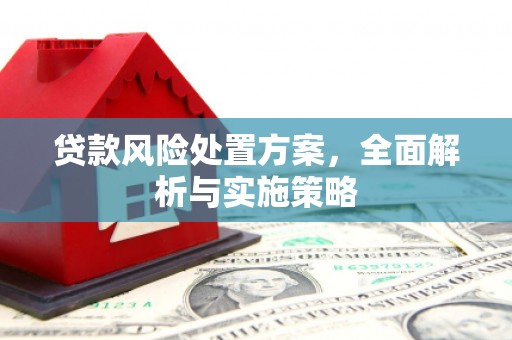 修文贷款风险处置方案，全面解析与实施策略