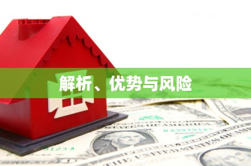 修文解析、优势与风险