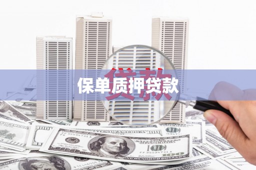 修文保单质押贷款
