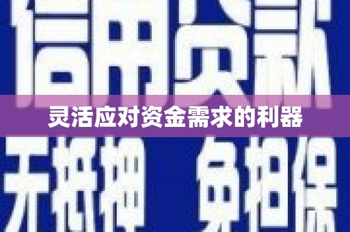 修文灵活应对资金需求的利器
