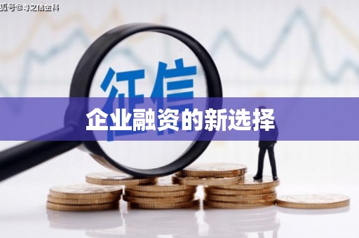 修文企业融资的新选择