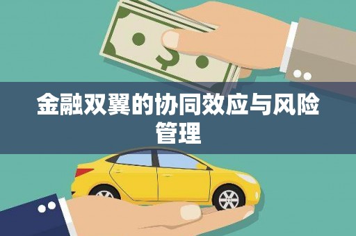 修文金融双翼的协同效应与风险管理