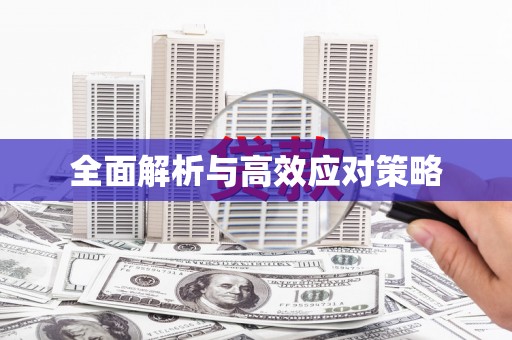 修文全面解析与高效应对策略