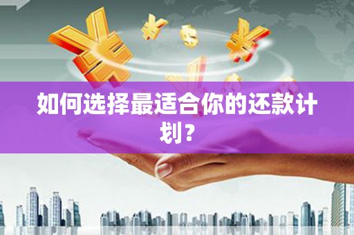 修文如何选择最适合你的还款计划？