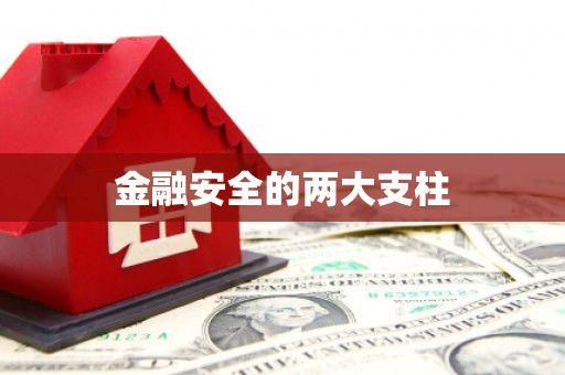 修文金融安全的两大支柱