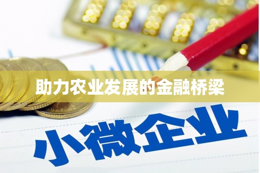 修文助力农业发展的金融桥梁