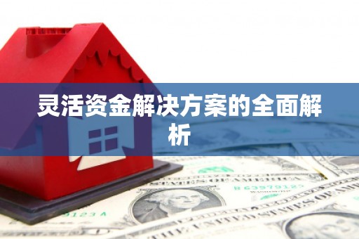 修文灵活资金解决方案的全面解析