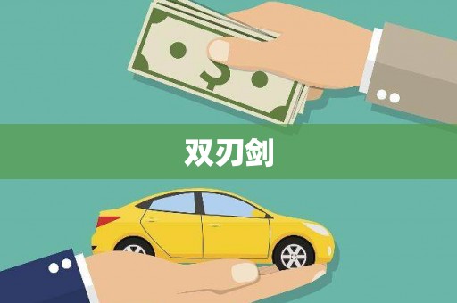 修文双刃剑