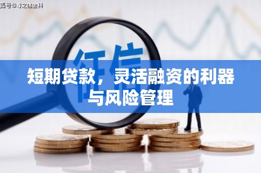 修文短期贷款，灵活融资的利器与风险管理