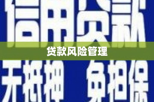 修文贷款风险管理