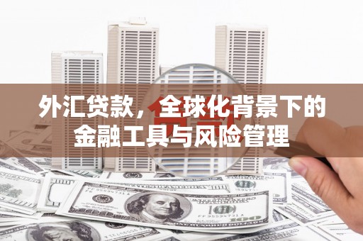 修文外汇贷款，全球化背景下的金融工具与风险管理