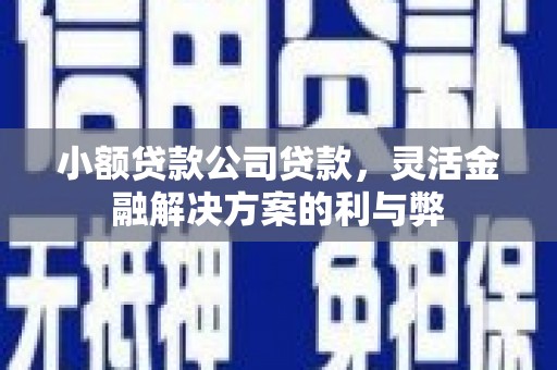 修文小额贷款公司贷款，灵活金融解决方案的利与弊