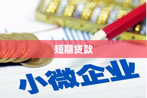 修文短期贷款