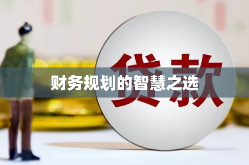 修文财务规划的智慧之选