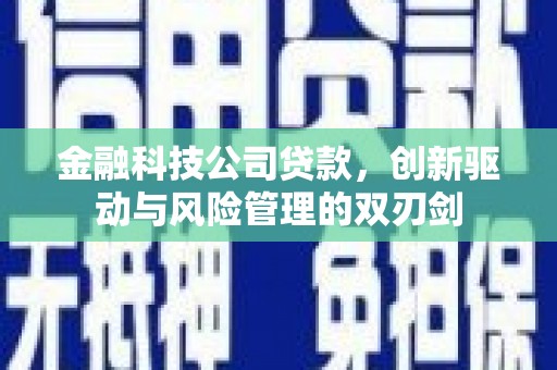 修文金融科技公司贷款，创新驱动与风险管理的双刃剑