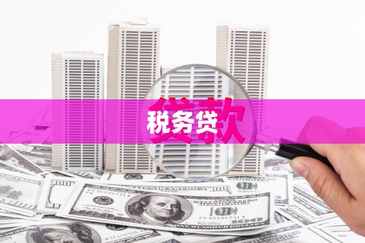 修文税务贷